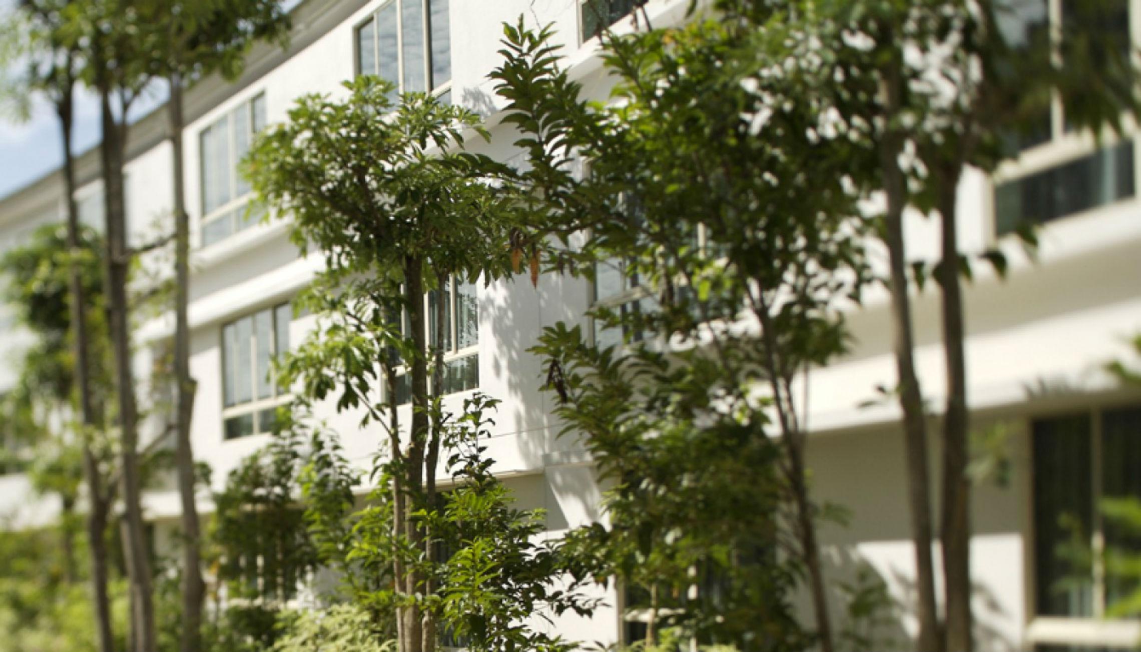 Amara Sanctuary Resort Sentosa Сингапур Экстерьер фото